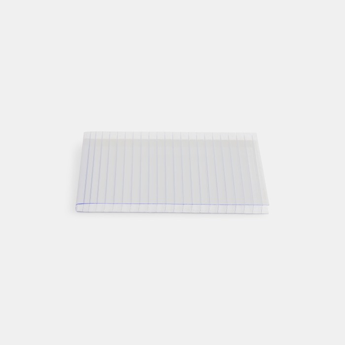 CarboPIÙ policarbonato alveolare 4mm | POLYPIÙ